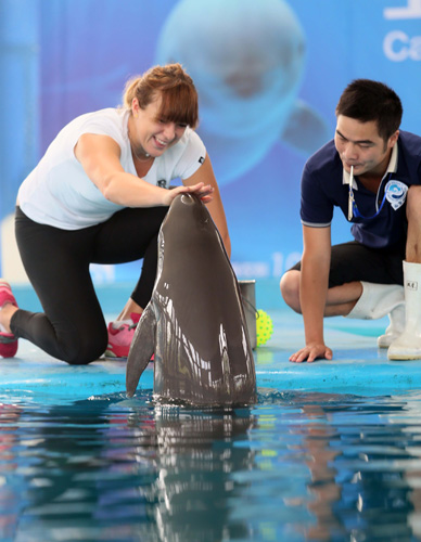 打造成令全 打造成令全