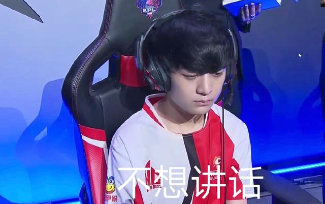 锦赛桂冠的